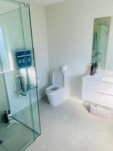 a bathroom with a toilet and a glass shower at Lakes Executive Suites in Tauranga