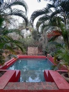 a swimming pool in a garden with palm trees at Nature's Nest Eco Resort Goa, Near Dudhsagar Waterfalls in Molem