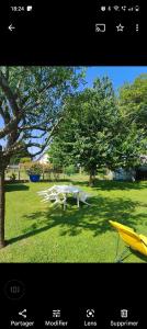 a picnic table in the grass next to a tree at A 15 mn ouest Caen in Noyers-Bocage +15 photos
