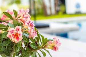 Zahrada ubytování RUSARDI Poolvilla Ao Nang - new Villa 4 Bedrooms 4 Bathrooms, 10m Pool