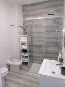 een badkamer met een douche, een toilet en een wastafel bij Precioso apartamento con patio interior. in Medina Sidonia
