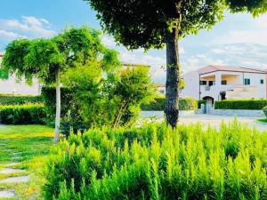 a garden with trees and plants in front of a house at Il mare di Matera in Policoro