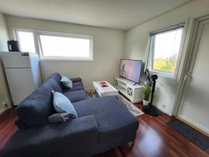 a living room with a couch and a tv at GJERDRUM/ OSLO RESIDENTS HOSTED BY FELIX in Gjerdrum