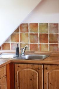 a kitchen with a sink and a counter top at Hájenka hraběte Buquoye in Kaplice