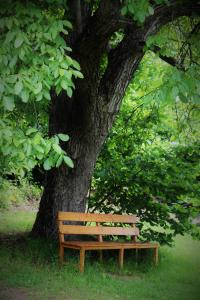 Ein Garten an der Unterkunft Hájenka hraběte Buquoye