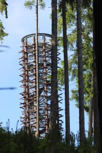 an observation tower in a forest of trees at Hájenka hraběte Buquoye in Kaplice