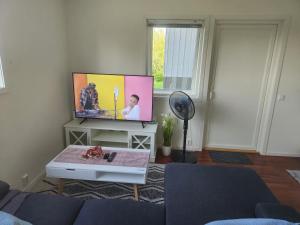TV tai viihdekeskus majoituspaikassa GJERDRUM/ OSLO RESIDENTS HOSTED BY FELIX