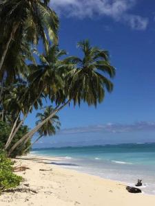 a beach with two palm trees and the ocean at Surf Homestay Katiet surfing barrrels short motorcycle only minute from our places Bintang wave,Lance wave,HTs wave,monkeyWave in Katiet