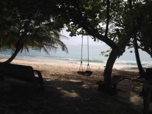 a swing hanging from a tree on the beach at Surf Homestay Katiet surfing barrrels short motorcycle only minute from our places Bintang wave,Lance wave,HTs wave,monkeyWave in Katiet +4 photos