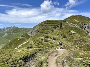 una persona in bicicletta su un sentiero di montagna di Petit studio à Lourtier a Lourtier