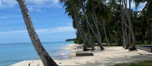 a sandy beach with palm trees and the ocean at Surf Logde katiet short motorcycle only minute from our places Bintang wave,Lance wave,HTs wave,monkeyWave in Katiet