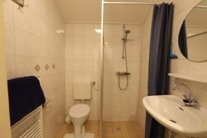 a bathroom with a shower and a toilet and a sink at Grijpskerkseweg 3 voorhuis in Oostkapelle +15 photos
