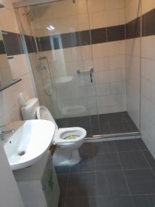 ein Bad mit einem WC, einer Dusche und einem Waschbecken in der Unterkunft 70 qm Ferienwohnung mit 2 Schlafzimmern in Zwickau