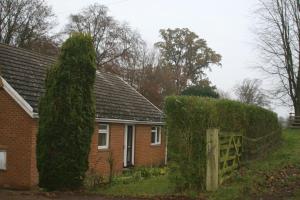 ceglany dom z dużym krzakiem przed nim w obiekcie Whole of Yew Tree Cottage Sleeps 4 w mieście Maidford
