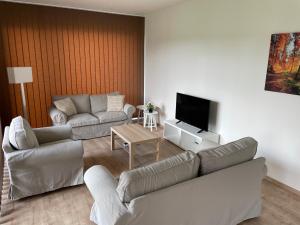 a living room with couches and a flat screen tv at Apartmán za kostelem Čeladná in Čeladná