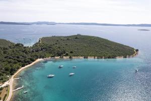 Gallery image of Apartments Rozelyn in Ugljan +95 photos