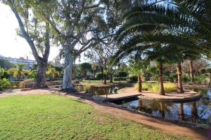 a park with palm trees and a pond at Global Properties, Apartamento con piscina y terraza en Canet playa in Canet de Berenguer