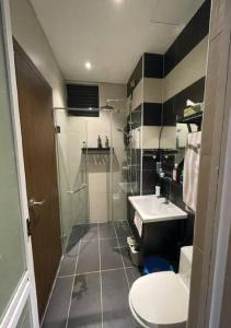 a bathroom with a shower and a toilet and a sink at D Secret Homestay 2BR Condo Luxury in Johor Bahru