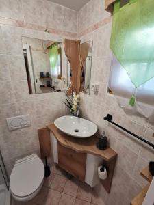 ein Badezimmer mit einem Waschbecken, einem WC und einem Spiegel in der Unterkunft Cosy Retreat Čatež in Čatež ob Savi