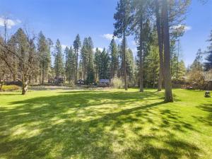 a field of green grass with trees in the background at Metolius Cabin 1 in Camp Sherman