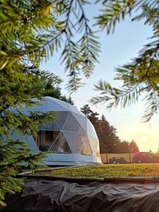 szklana kopuła budynku na polu z drzewami w obiekcie Silence Glamp - Glamping Bieszczady w mieście Ustrzyki Dolne