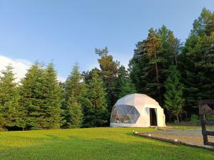Vonkajšia záhrada v ubytovaní Silence Glamp - Glamping Bieszczady