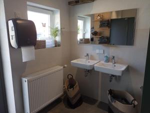 łazienka z 2 umywalkami, telewizorem i oknem w obiekcie Fichtelpark w mieście Kirchenlamitz
