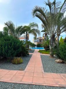 a walkway with palm trees and a swimming pool at Sotira Agia Napa Luxury House in Ayia Napa