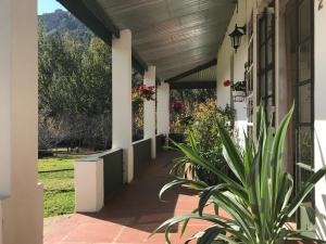 O grădină în afara Comfrey Cottage