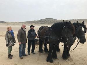 Zvířata v prázdninového domu nebo okolí