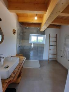 ein Badezimmer mit einem Waschbecken und einer Leiter in der Unterkunft La Char'Vigne in Anglefort