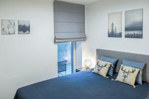 耶德庫安特的住宿－COME2rest - Kalno namai，一间卧室配有蓝色的床、枕头和窗户