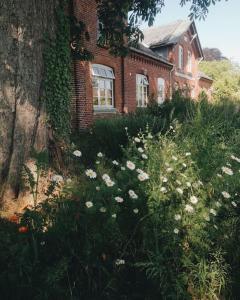 a field of flowers in front of a brick house at Urlaub auf einem alten Resthof am Meer in Gelting +7 photos