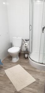 łazienka z toaletą, prysznicem i dywanem w obiekcie Krab w Rewalu