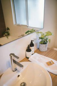 a bathroom sink with a mirror and a plant at The Mains Guest House 2 Bedroom Farm Stay in Corrigin
