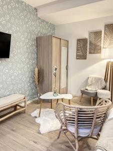 TV a/nebo společenská místnost v ubytování Appart LE SCANDINAVE - Maison 1911 - confort & prestige