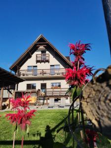 une grande maison avec des fleurs rouges devant elle dans l'établissement Izvorul Prigoanei, à Tău Bistra