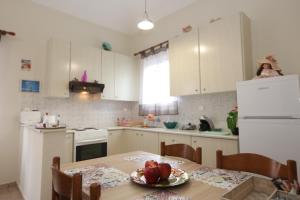 Kuhinja oz. manjša kuhinja v nastanitvi SummerAndros Meliti