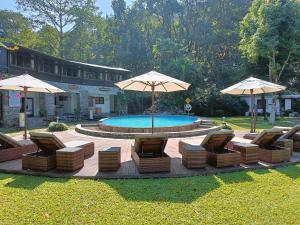 A piscina em ou perto de Fish Tail Lodge