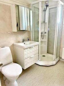a bathroom with a toilet and a shower and a sink at Klimpfjällsgården Hotel & Italian Restaurant in Klimpfjäll