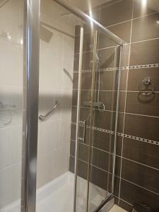 een douche met een glazen deur in de badkamer bij Celtic Lane in Galway