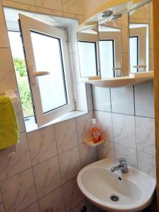 a bathroom with a sink and a mirror at Apartments Danica in Lopar