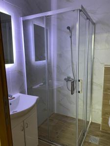 Koupelna v ubytování Apartman Splendid