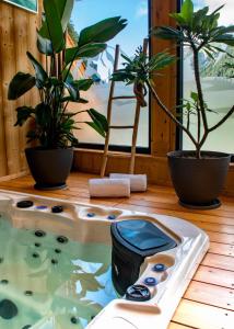 une piscine d'eau avec deux plantes en pot dans une pièce dans l'établissement Hotel L'Edelweiss, à Pralognan-la-Vanoise