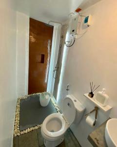 a bathroom with a toilet and a shower and a sink at Tres Islas Hostel in General Luna