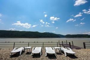 a group of chairs and tables in front of a lake at Pensiunea Celestin in Eşelniţa