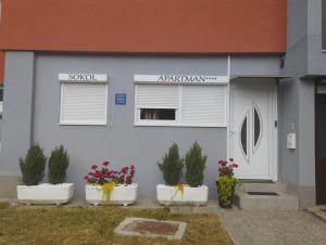 ein Haus mit Topfpflanzen davor in der Unterkunft APARTMAN SOKOL**** in Velika Gorica