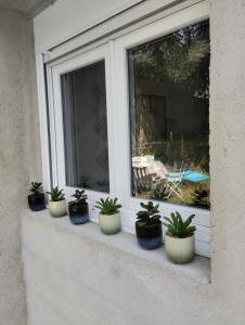 a row of potted plants sitting on a window sill at Studio jardin in Aubenas