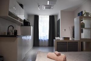 Cet appartement comprend une chambre avec un lit et une cuisine avec une fenêtre. dans l'établissement Apartma Darsi, à Ajdovščina