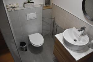 a bathroom with a white toilet and a sink at Apartma Darsi in Ajdovščina